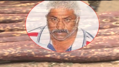 red sandal smuggler gangireddy